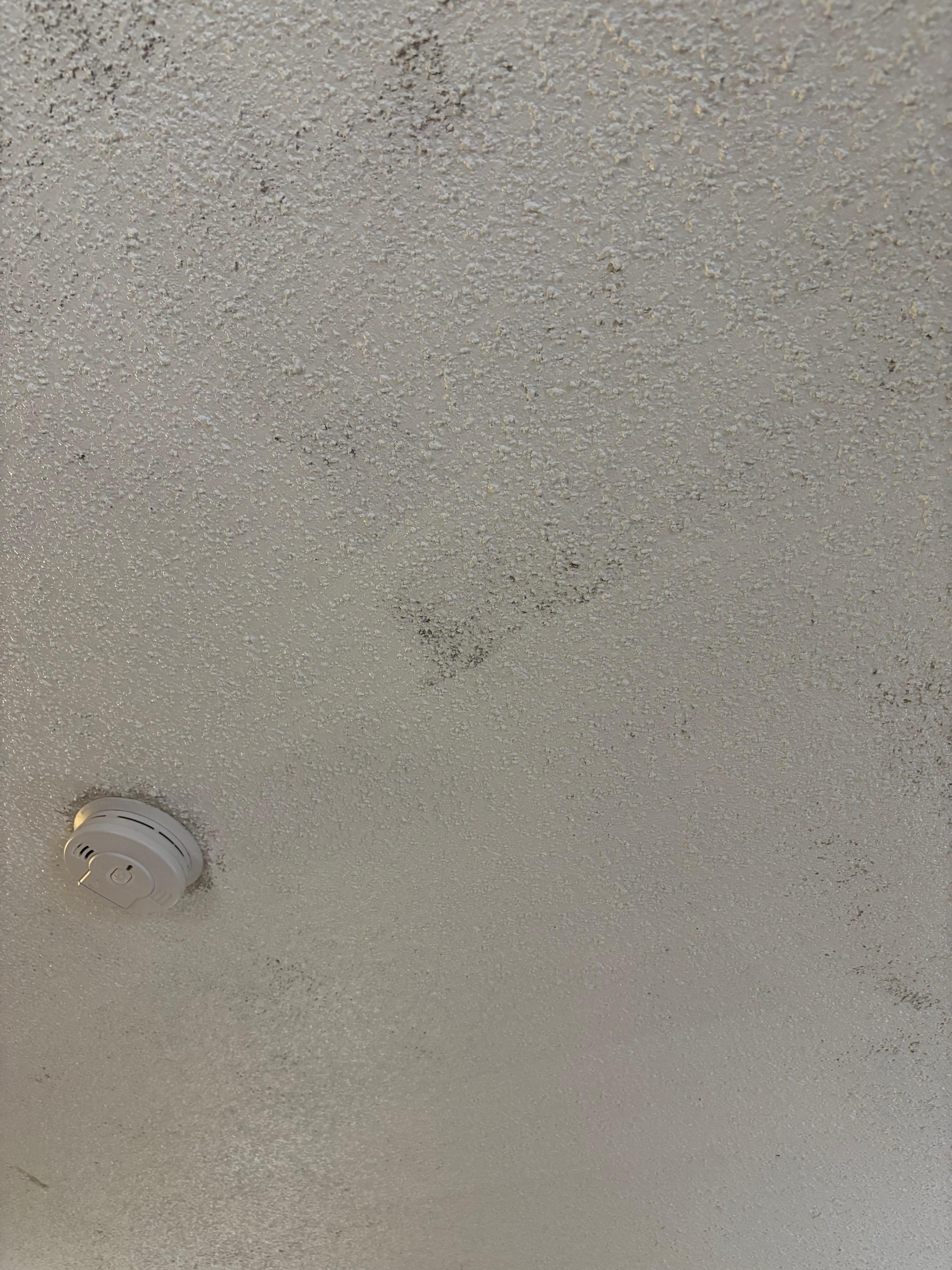 Mold on ceiling