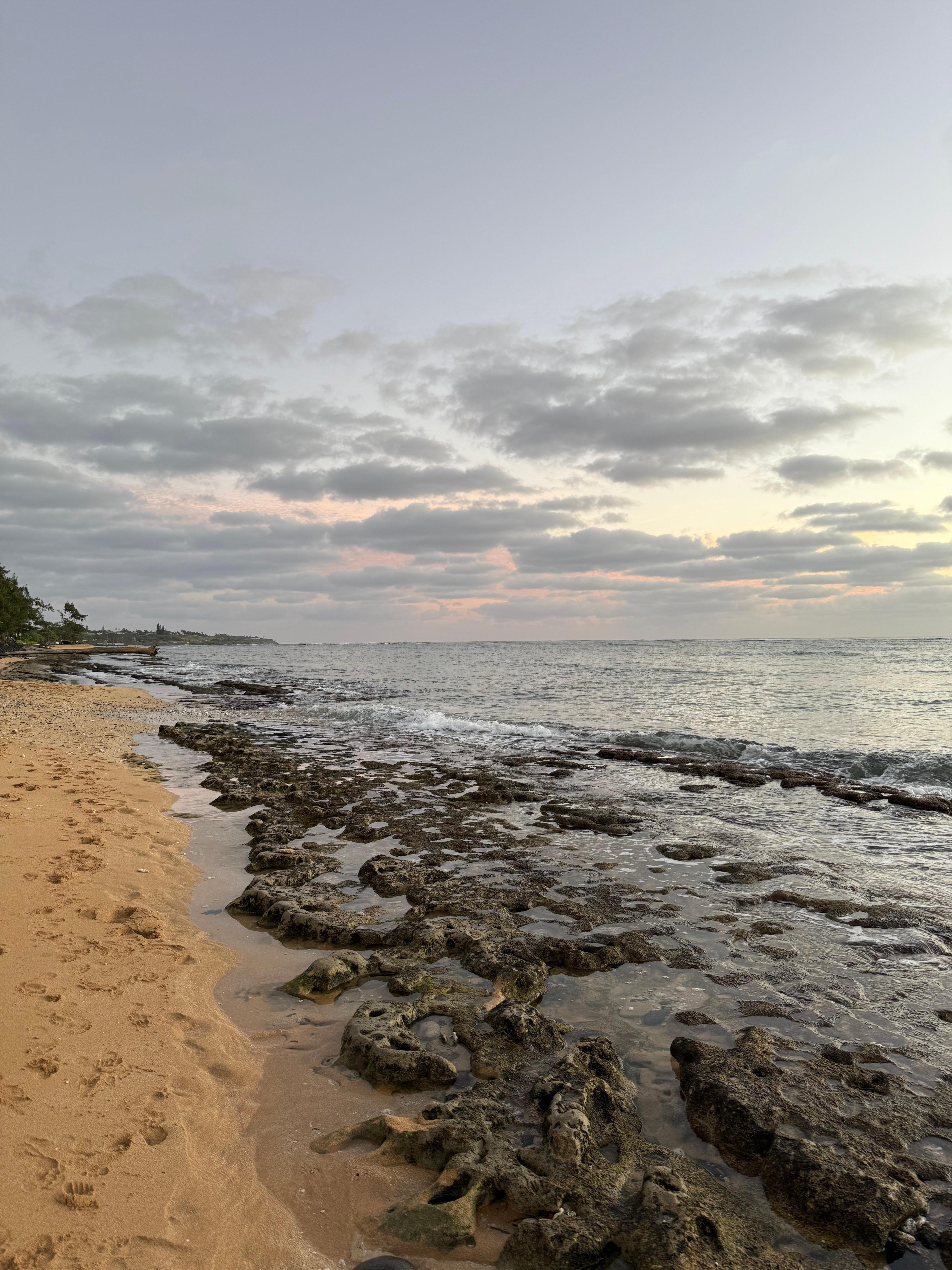 Beach area behind house