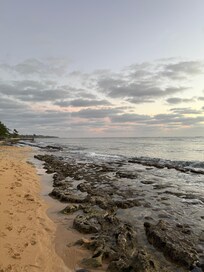 Beach area behind house