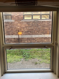 View window 1