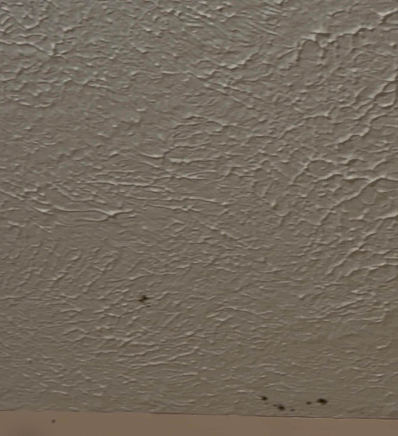 Basement bathroom ceiling in basement 