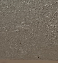 Basement bathroom ceiling in basement