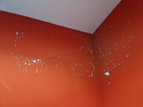 Feuchte Badezimmerwand.