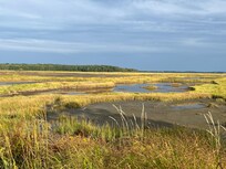 Scarborough salt marsh