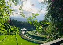 陽台欣賞香草迷宮風景