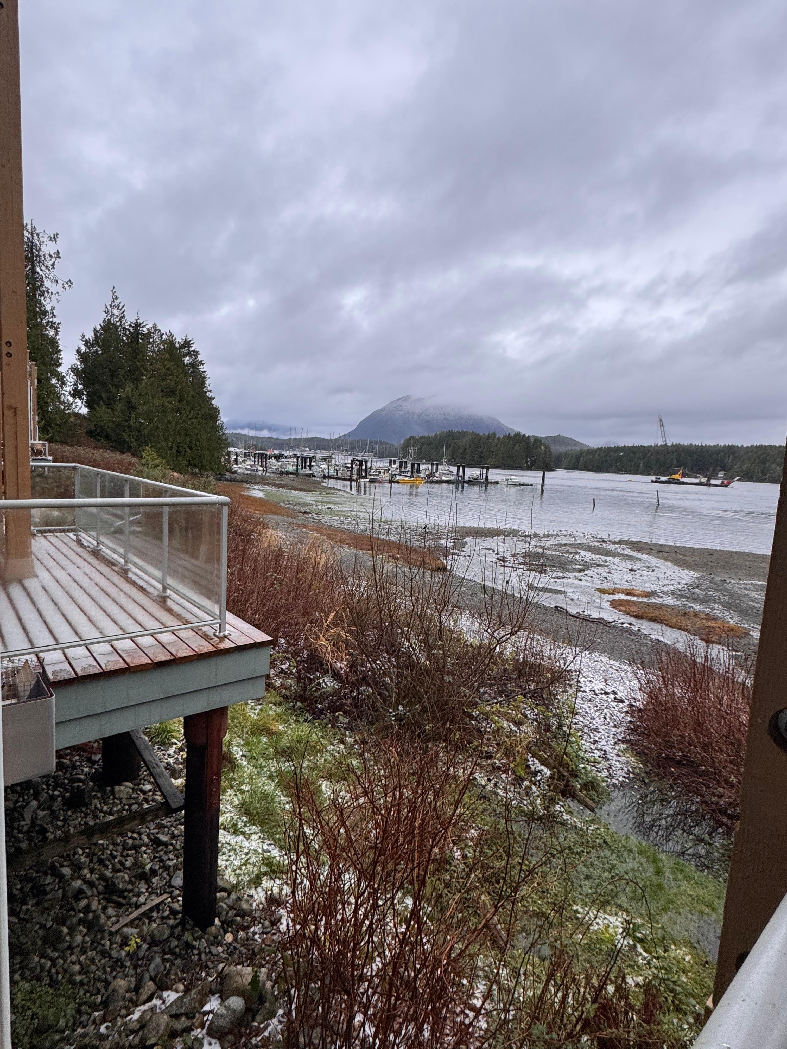 Amazing view!  We could have sat on the window bench for hours and watched the harbour!