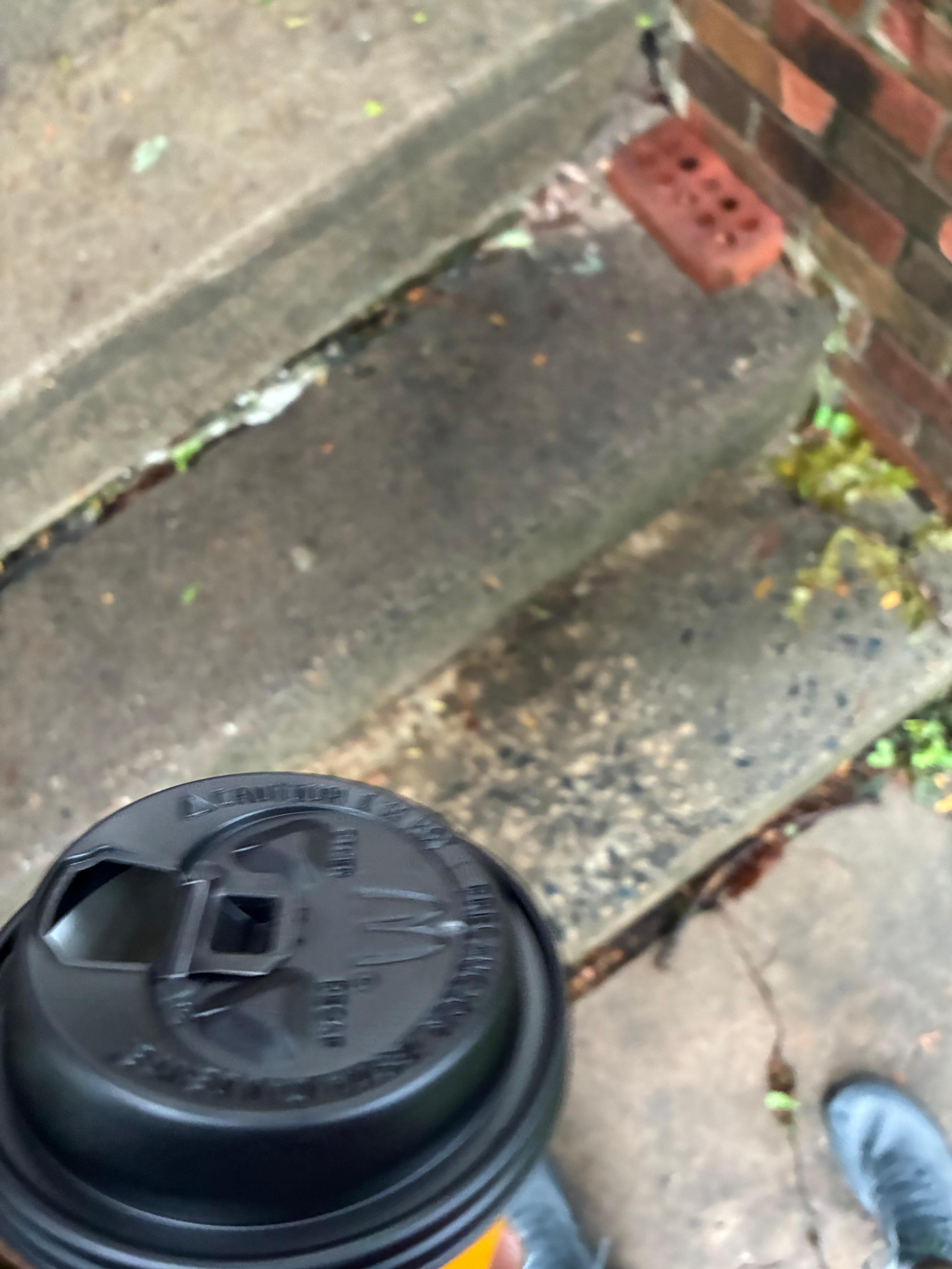 This was the front steps to the house separating and chipped. The first step was lower in the middle. Hazardous