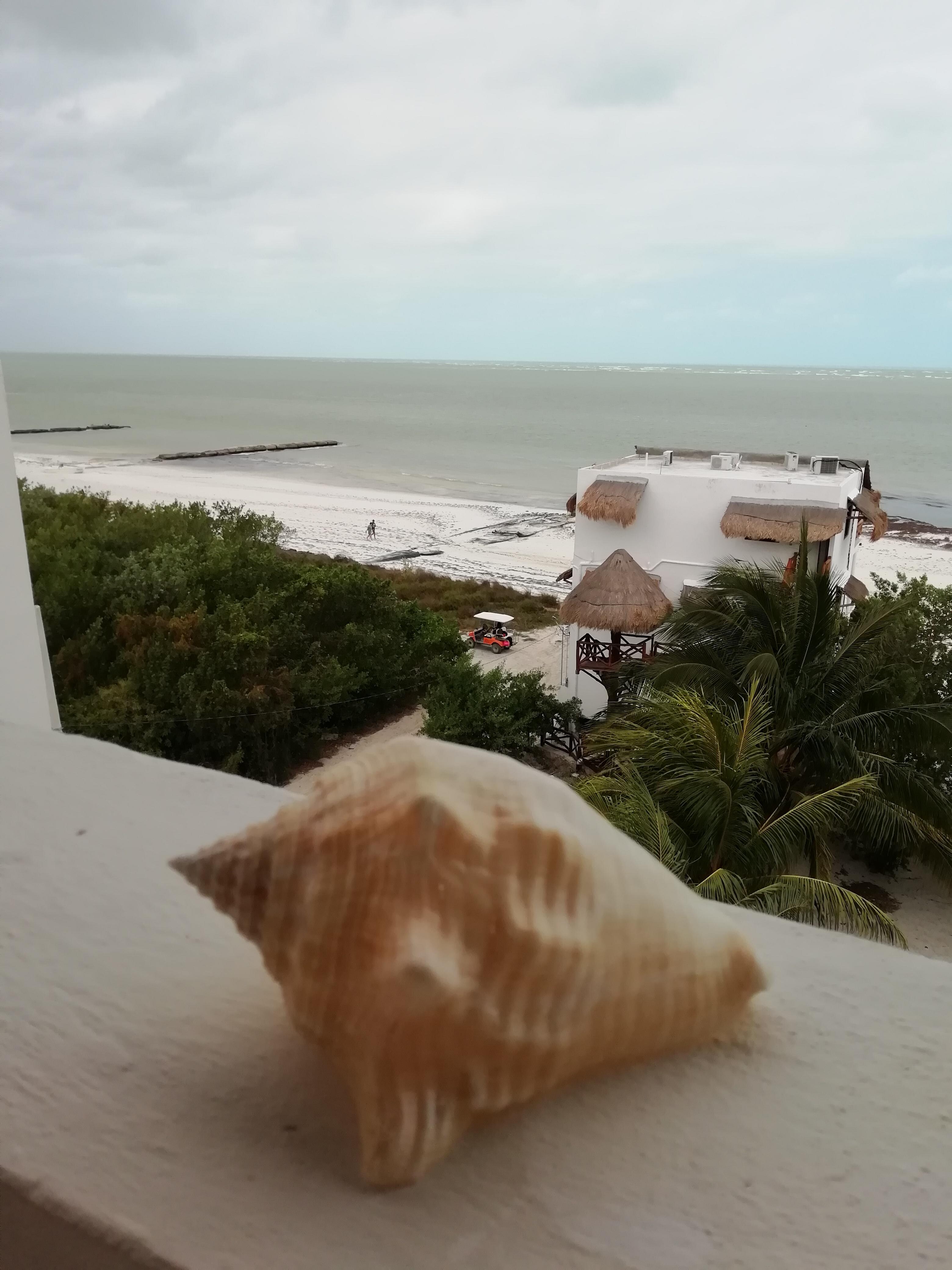 View from roof top