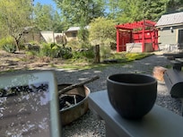 Morning views from the chairs by the firepit