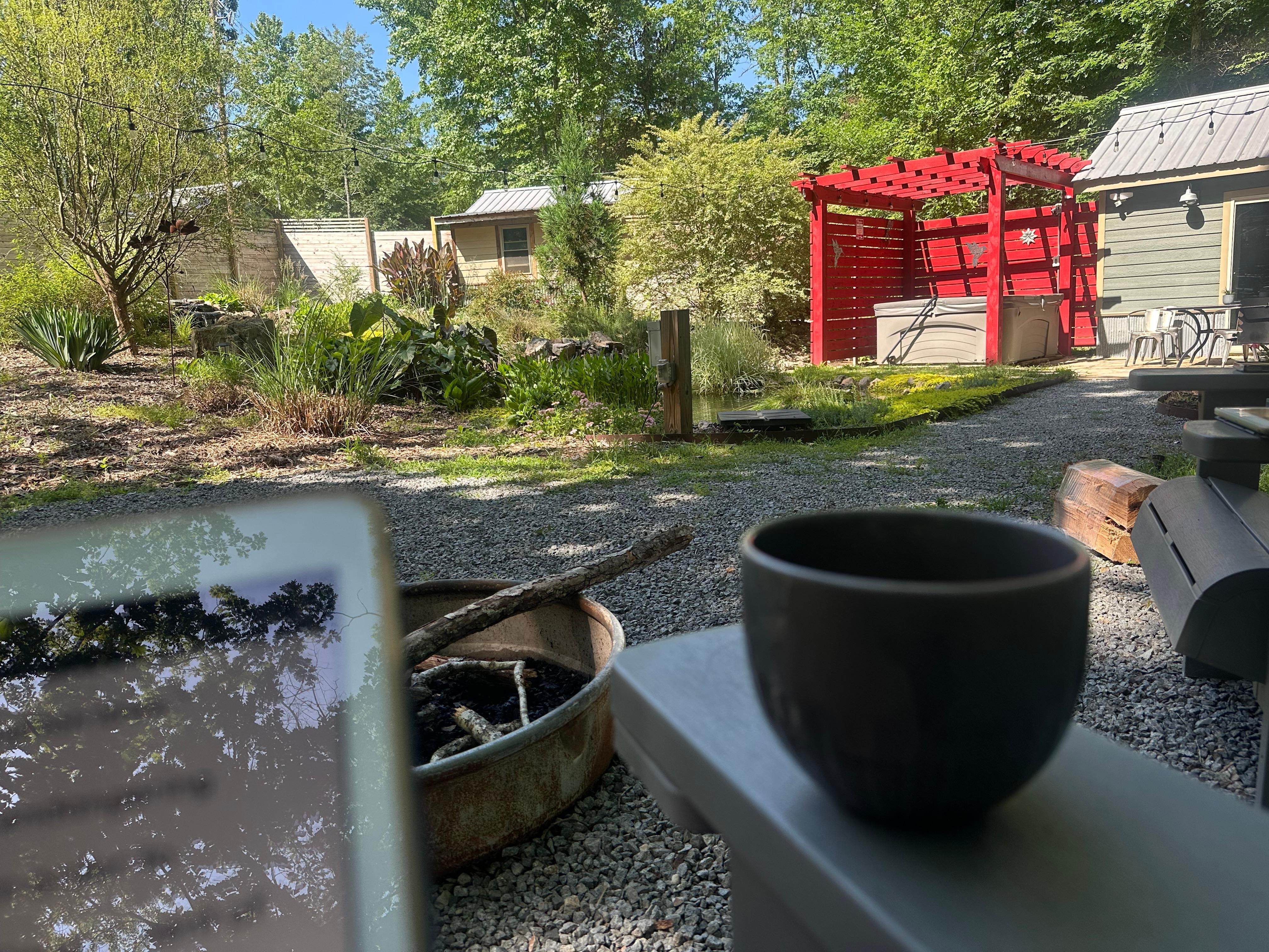 Morning views from the chairs by the firepit