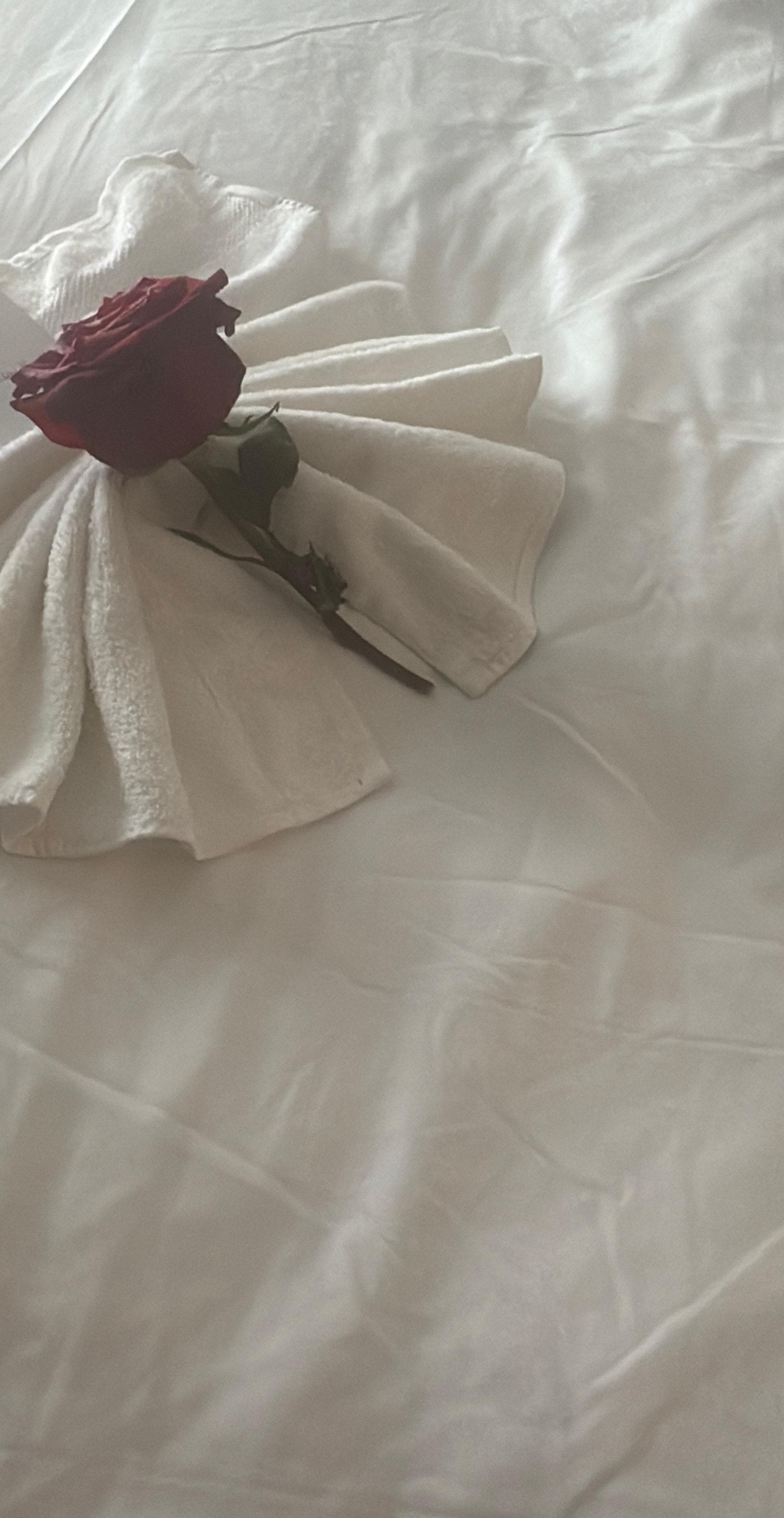 Treat from the hotel 