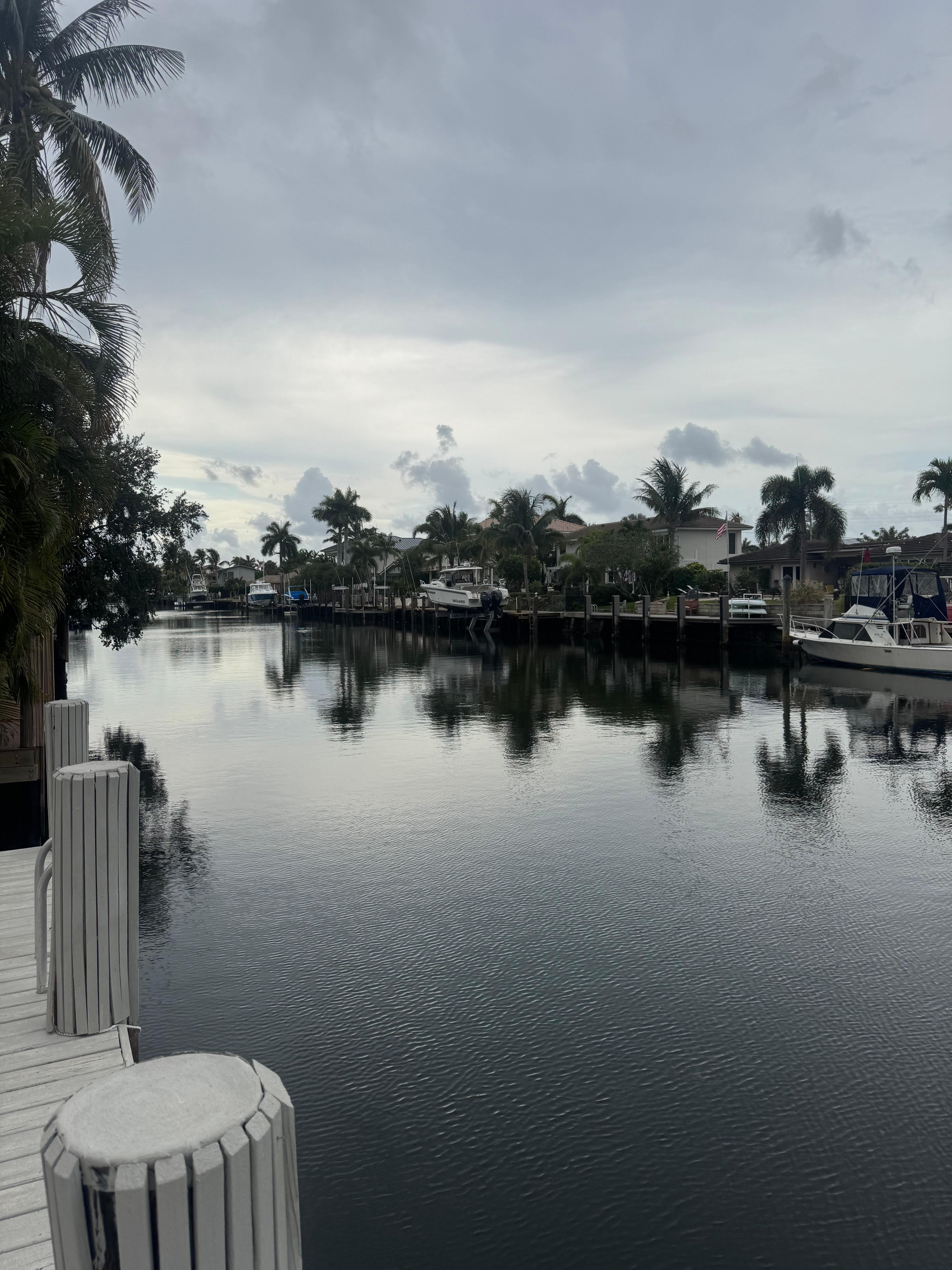 View from the dock