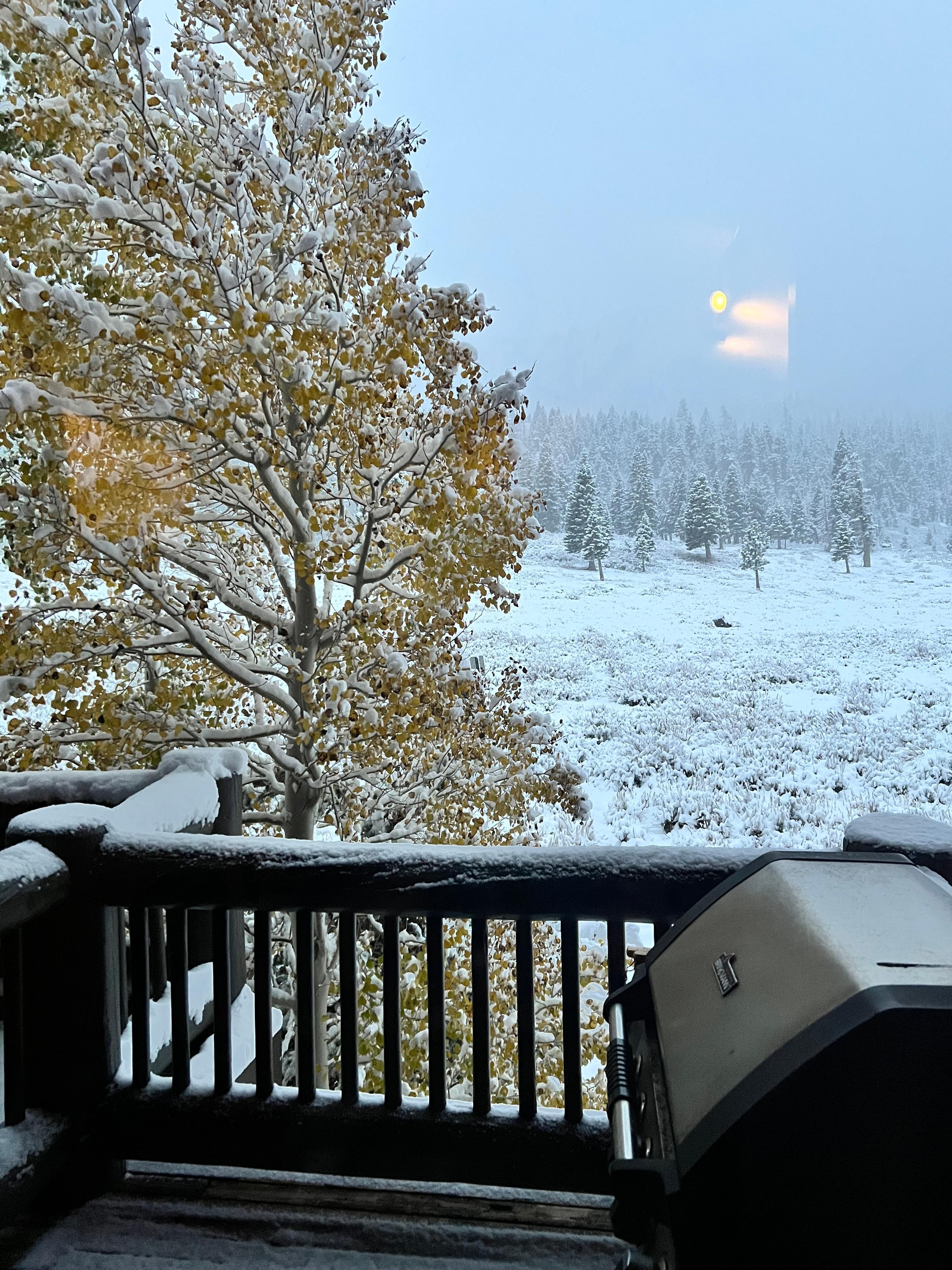 View out back on our last morning