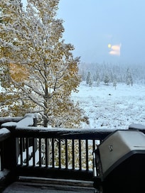 View out back on our last morning