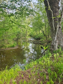 View from the hike down by the river. The hike starts out front of the cabin.