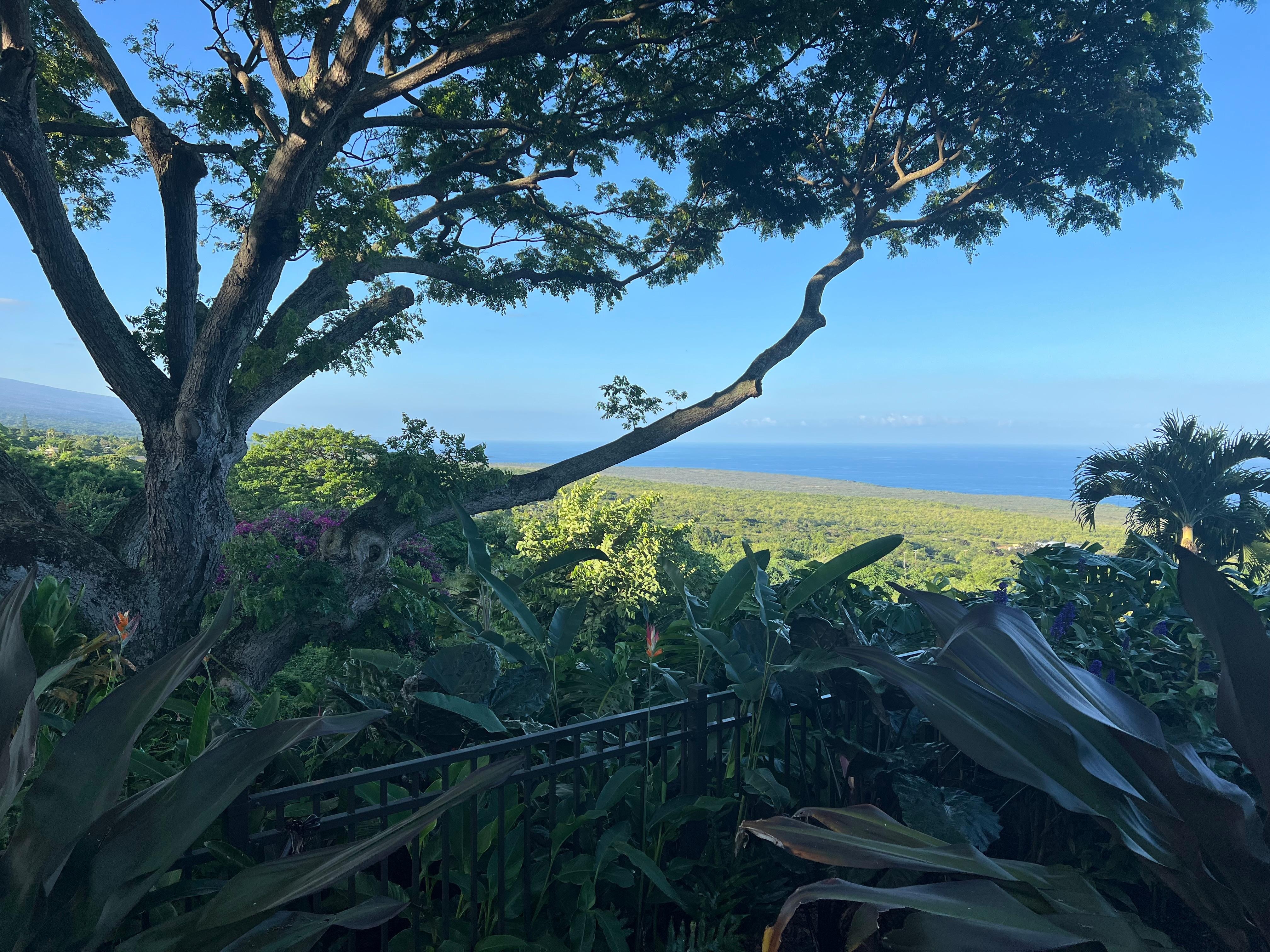 The view is amazing. 