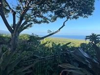 The view is amazing.