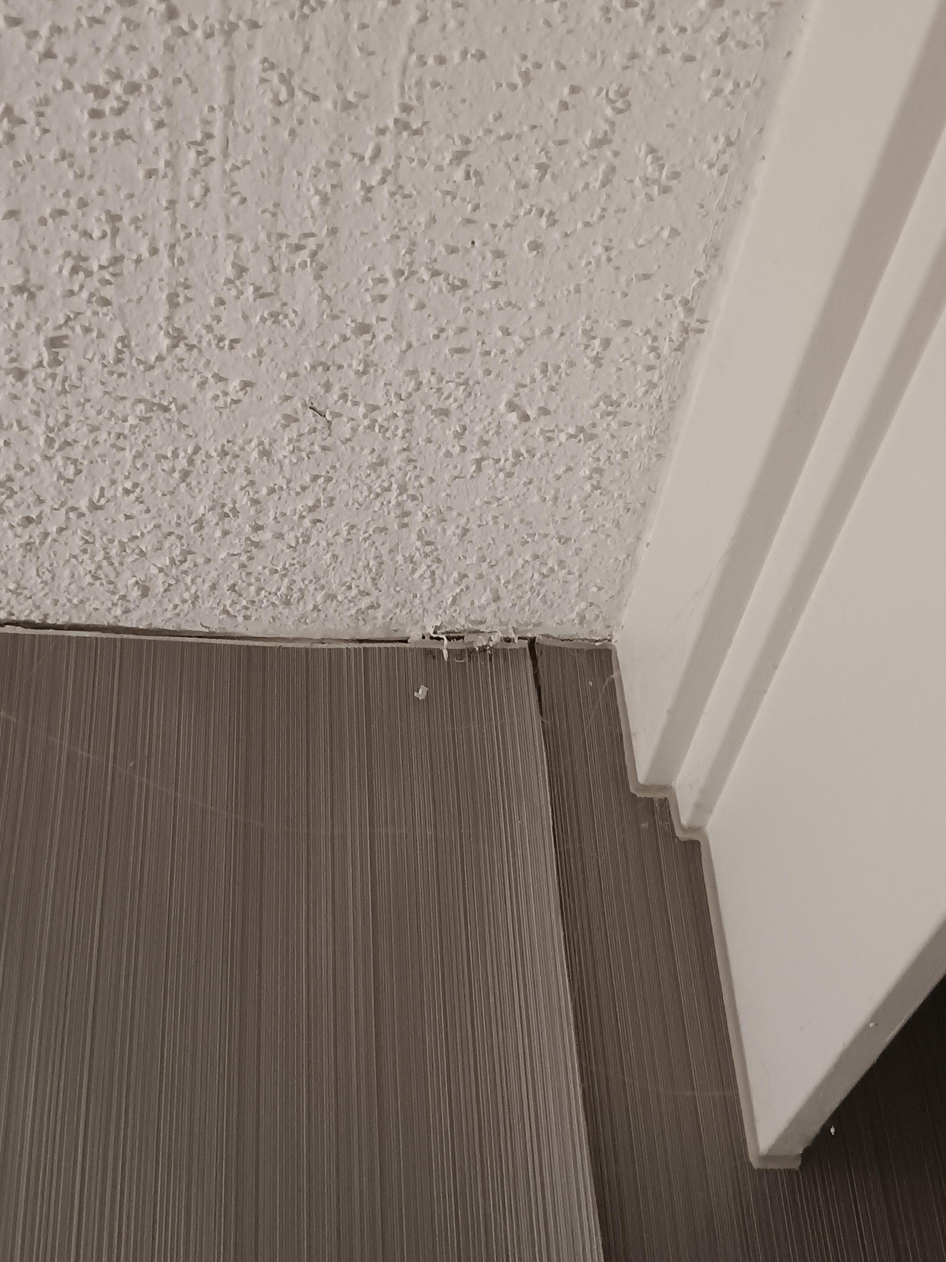 Spider webs in the bedroom