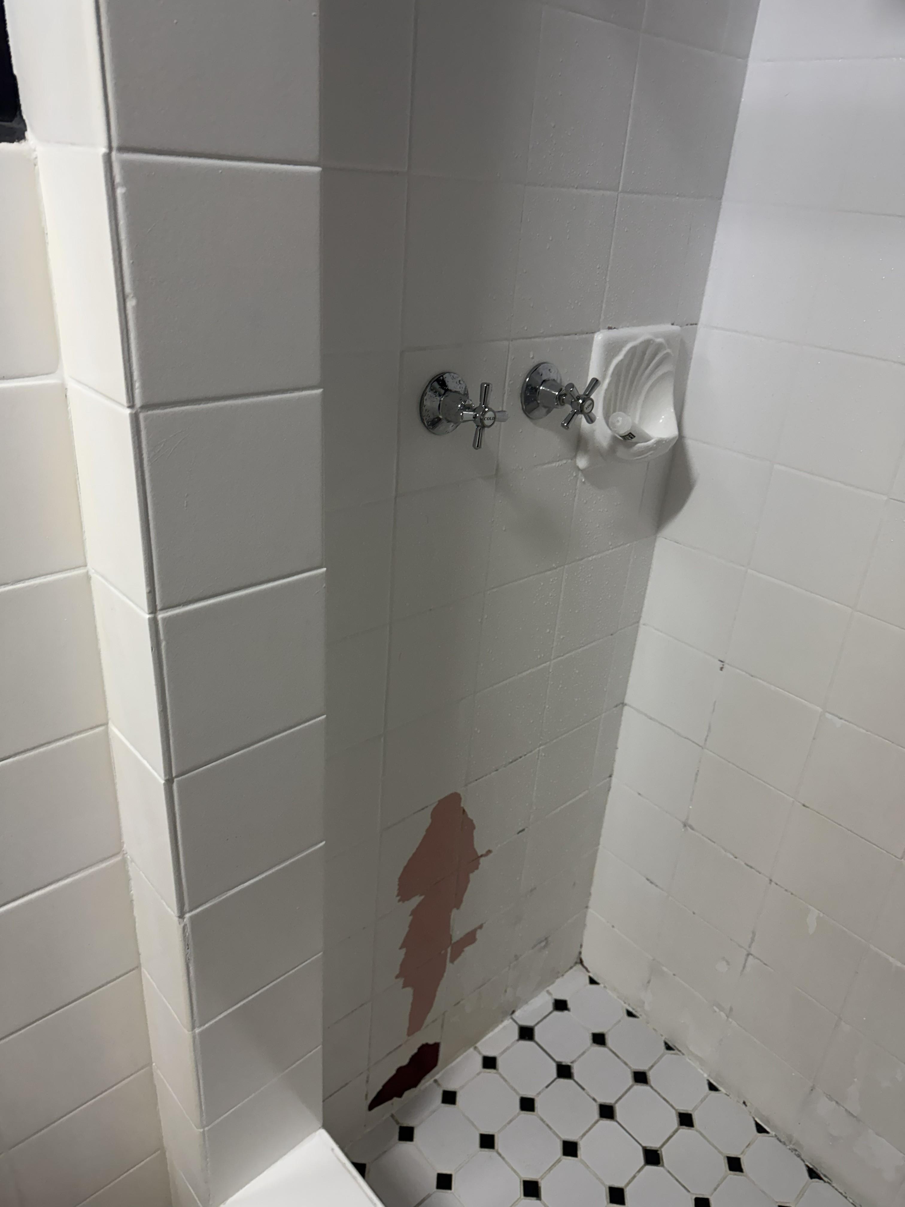 Peeling paint and molds in the shower