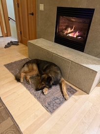 Pet friendly and very clean home.