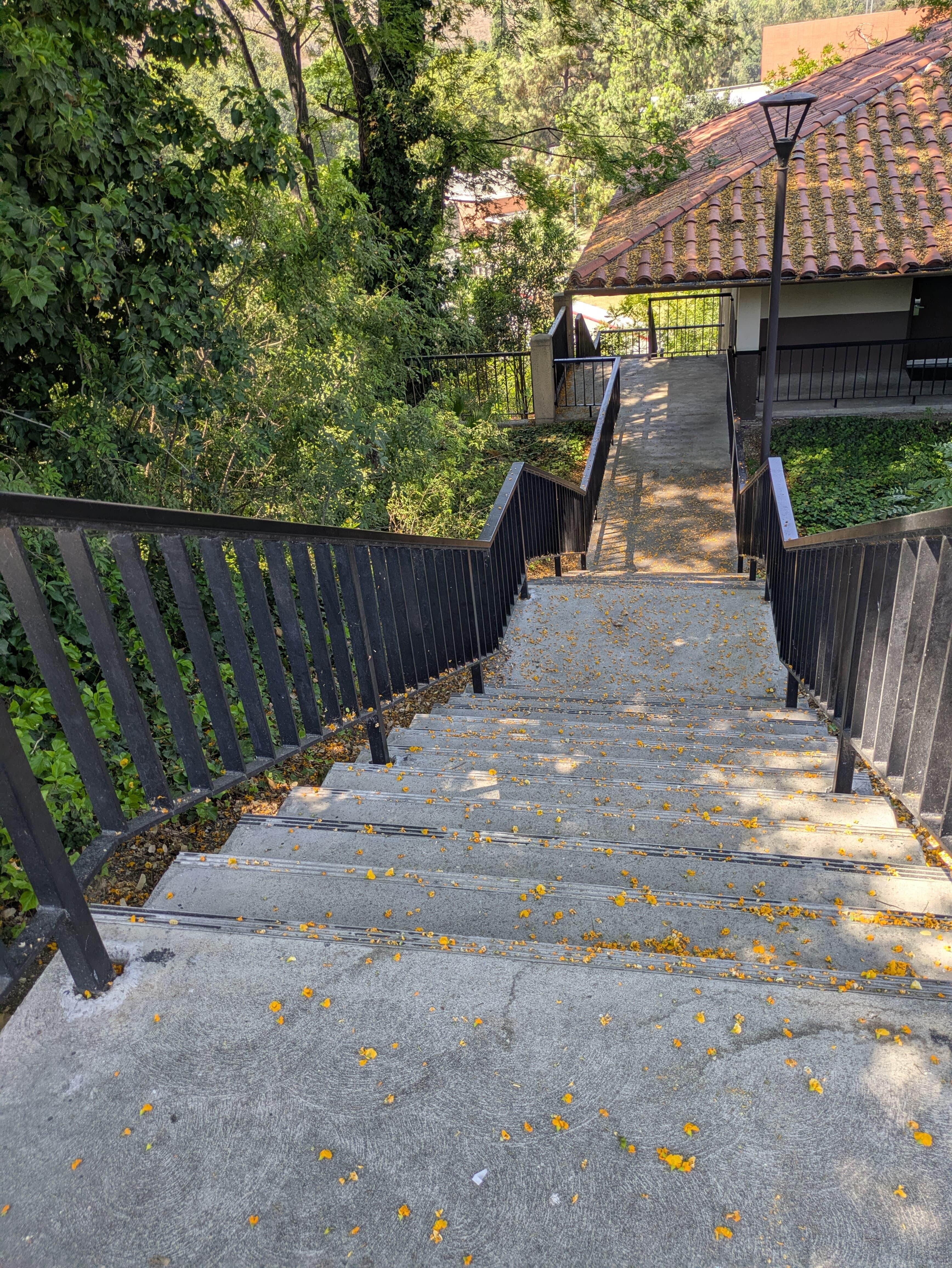 View from top of the stairs to the room level.