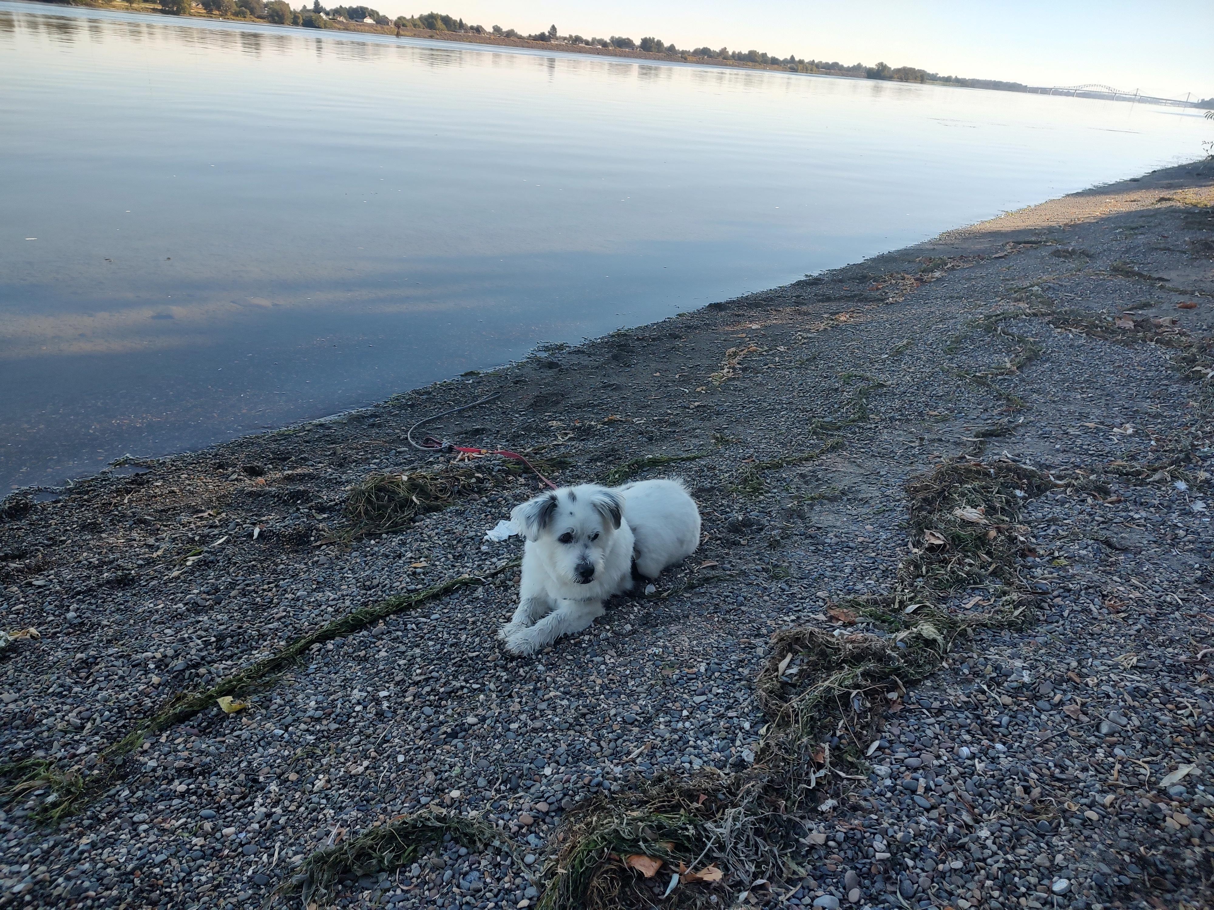 Chillin' at the Columbia River!