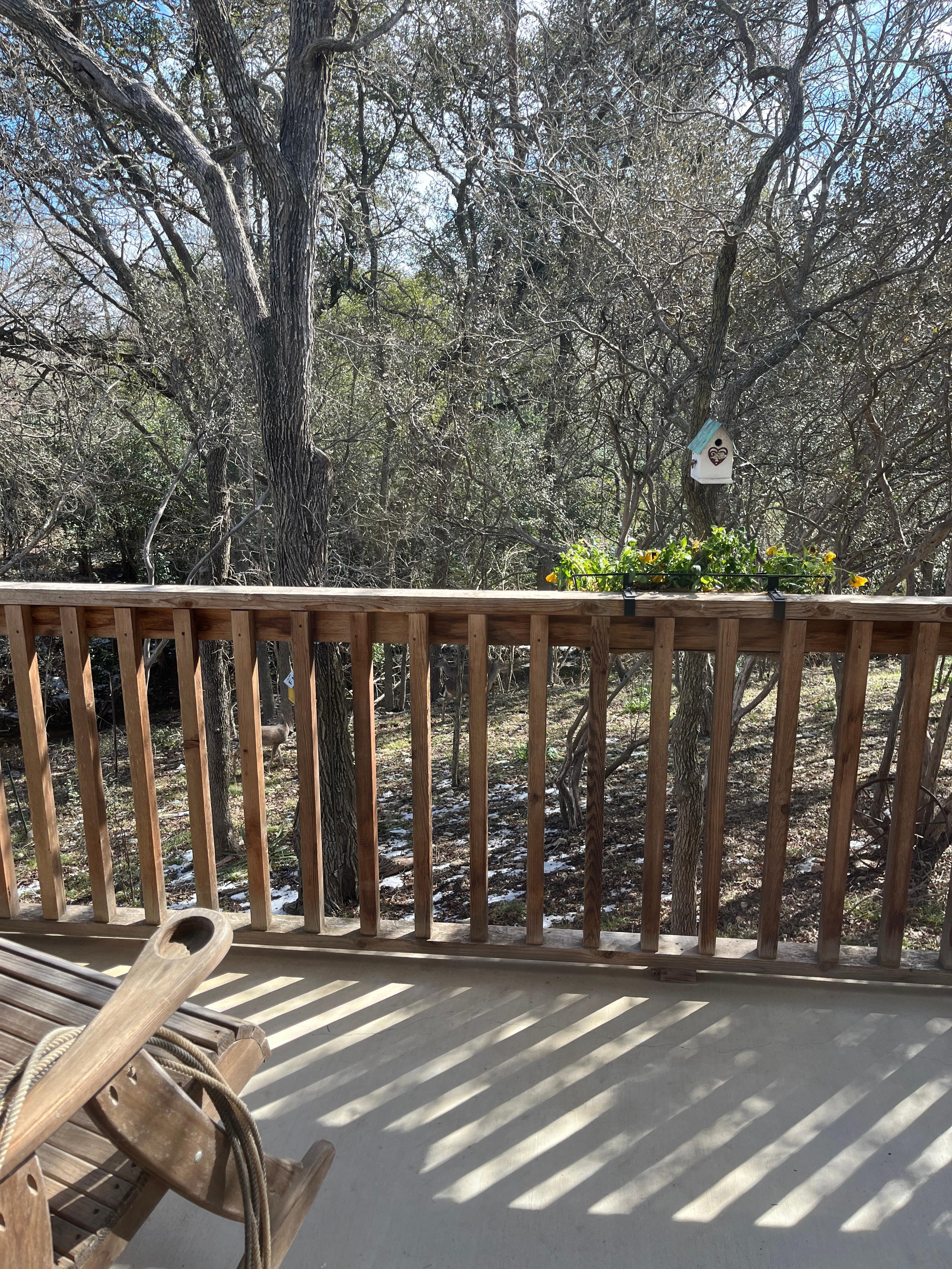 Private back porch where we could sit with our morning coffee and watch the deer. 