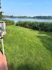 The backyard