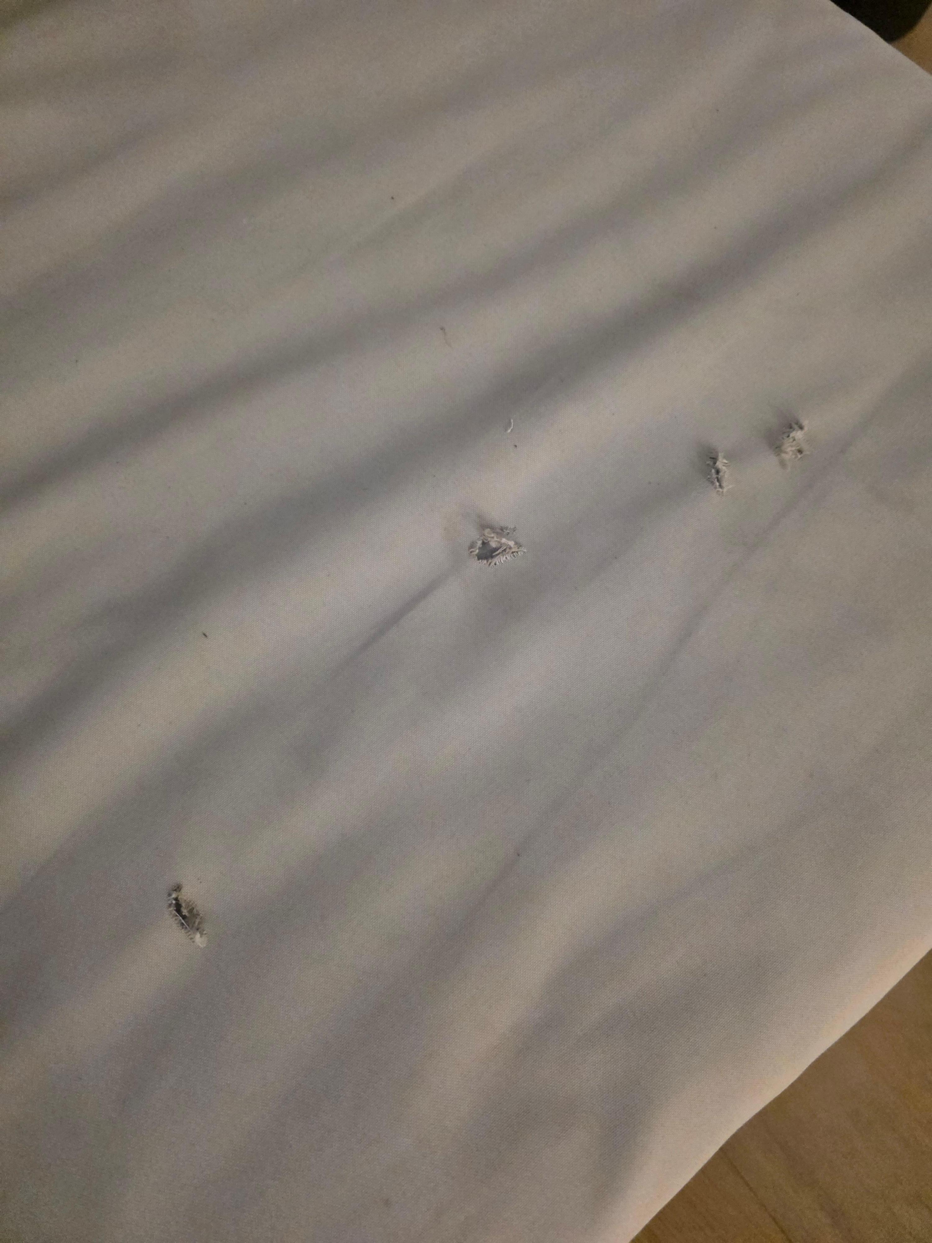 Rips in the other piece of furniture in the living room I guess you would call it a futon