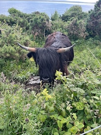 A friendly neighbour