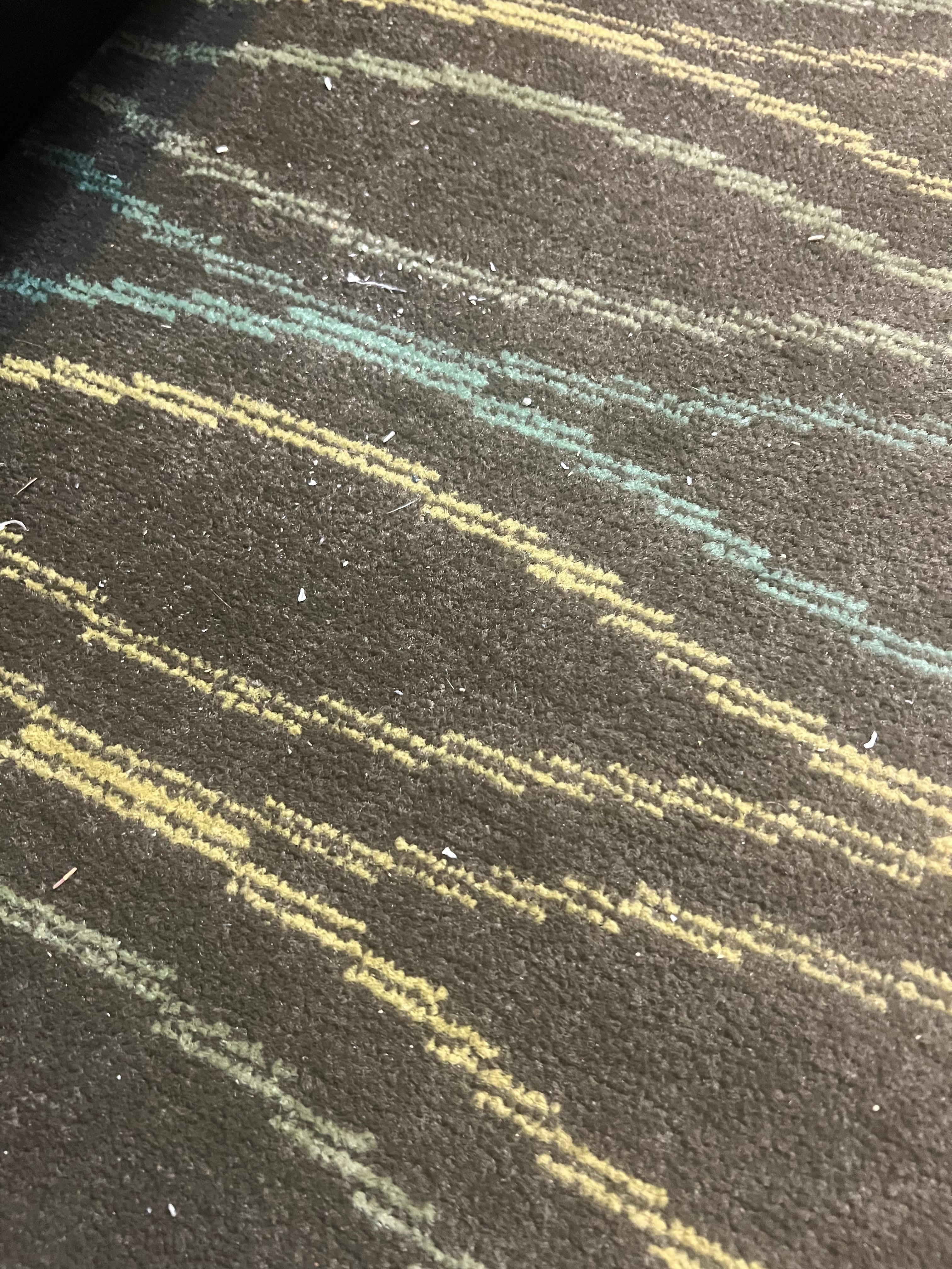 Fingernail clippings on the floor between the beds