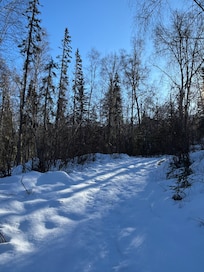 Snowshoe trail
