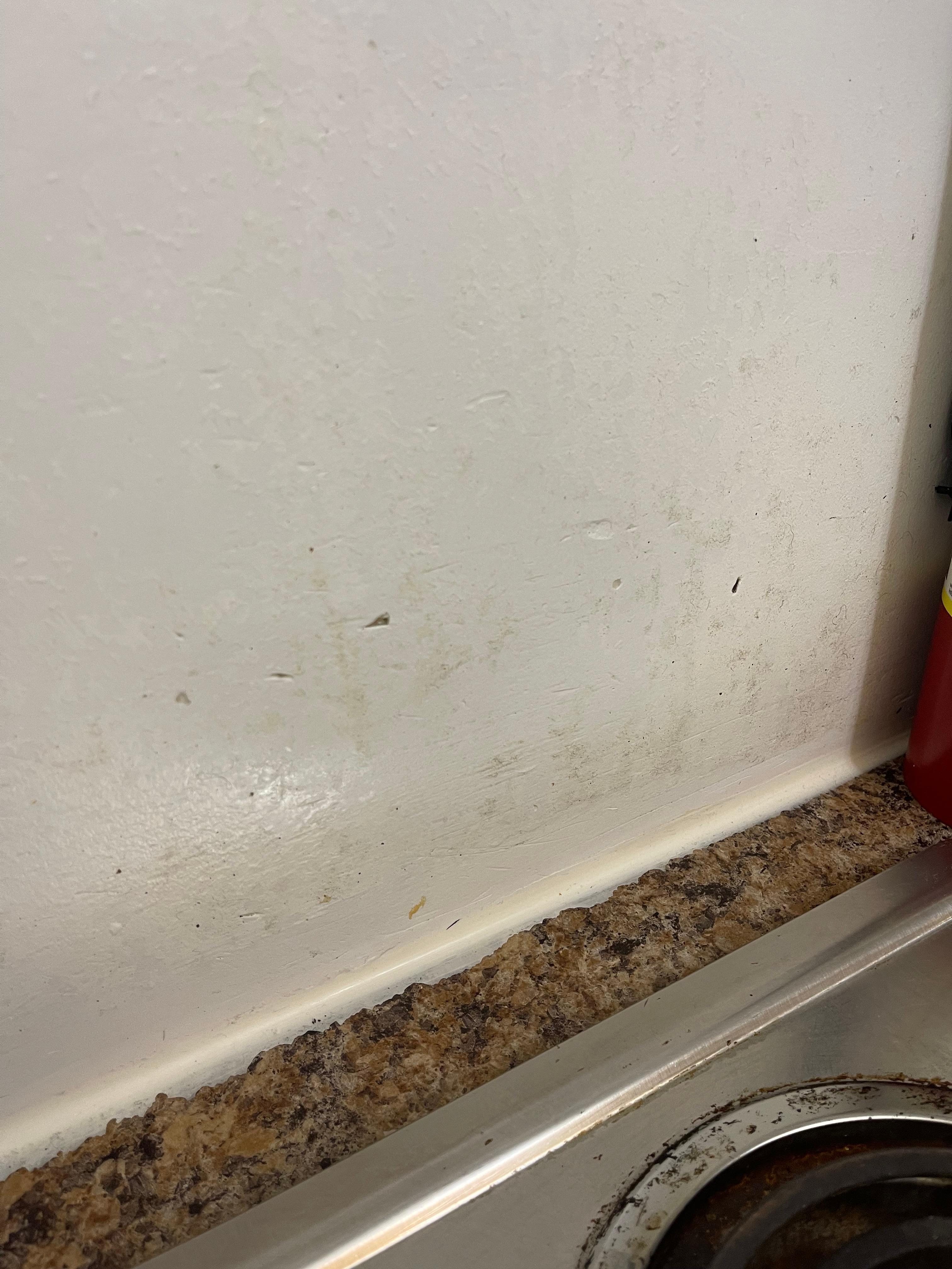 Dirty walls next to the stove top