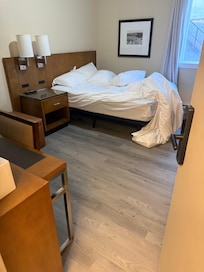 Dead bird under bed