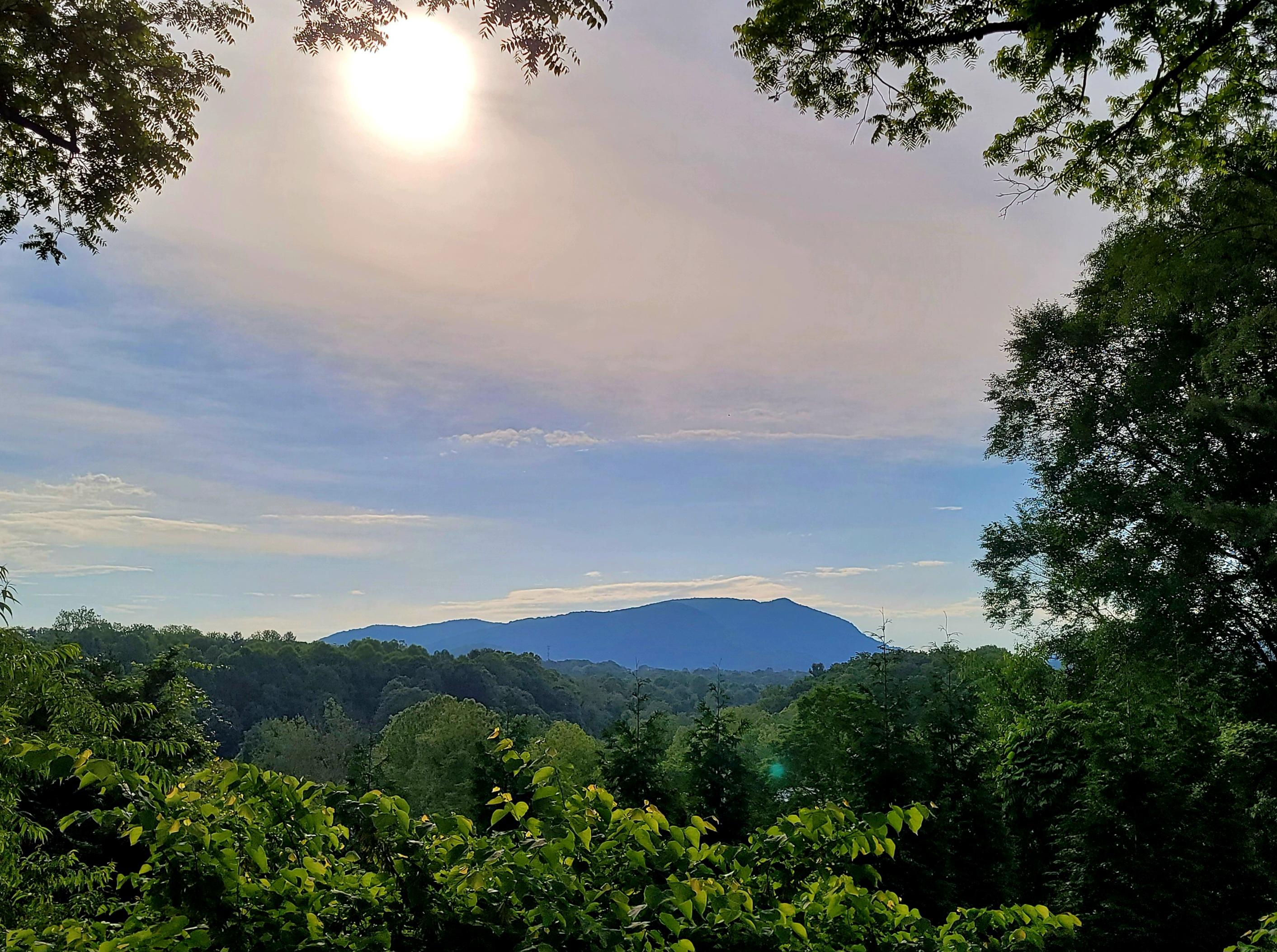 View from porch of main house 