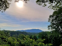 View from porch of main house