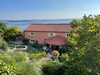 Back garden