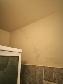Feuchte Wand