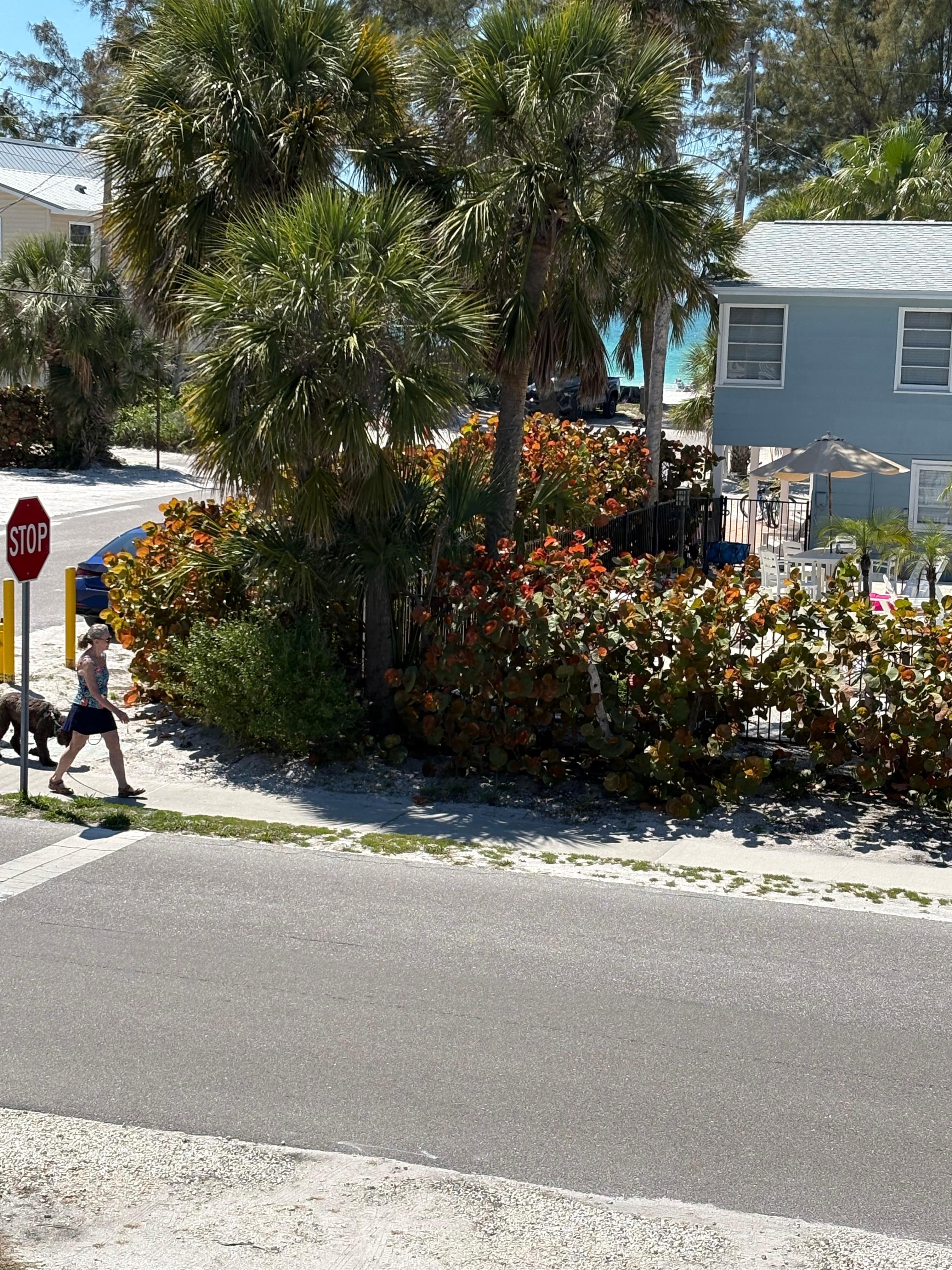 View from outside Unit 8. Ocean and beach are very close