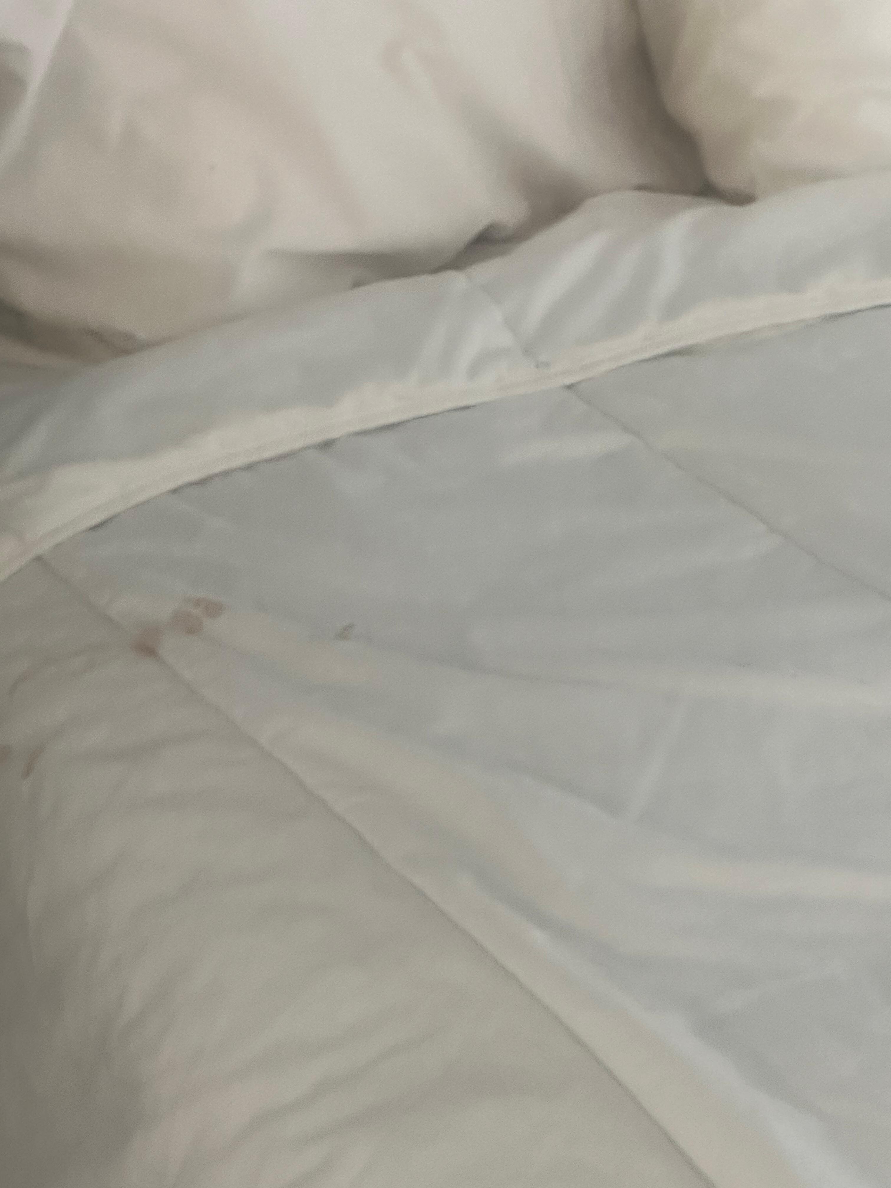 stains on the bed