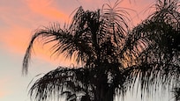 Sunset from the backyard