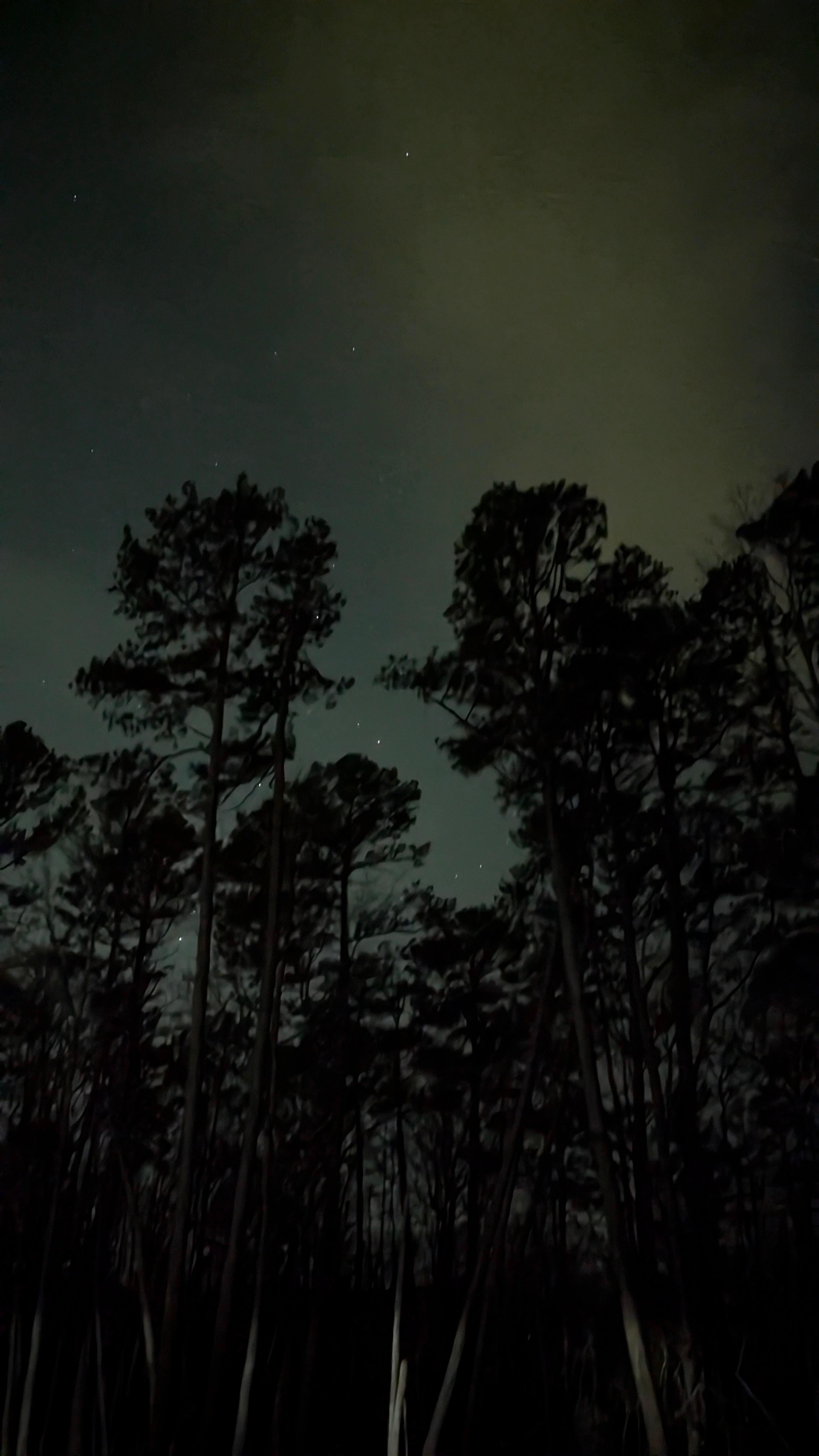 View from hot tub at night