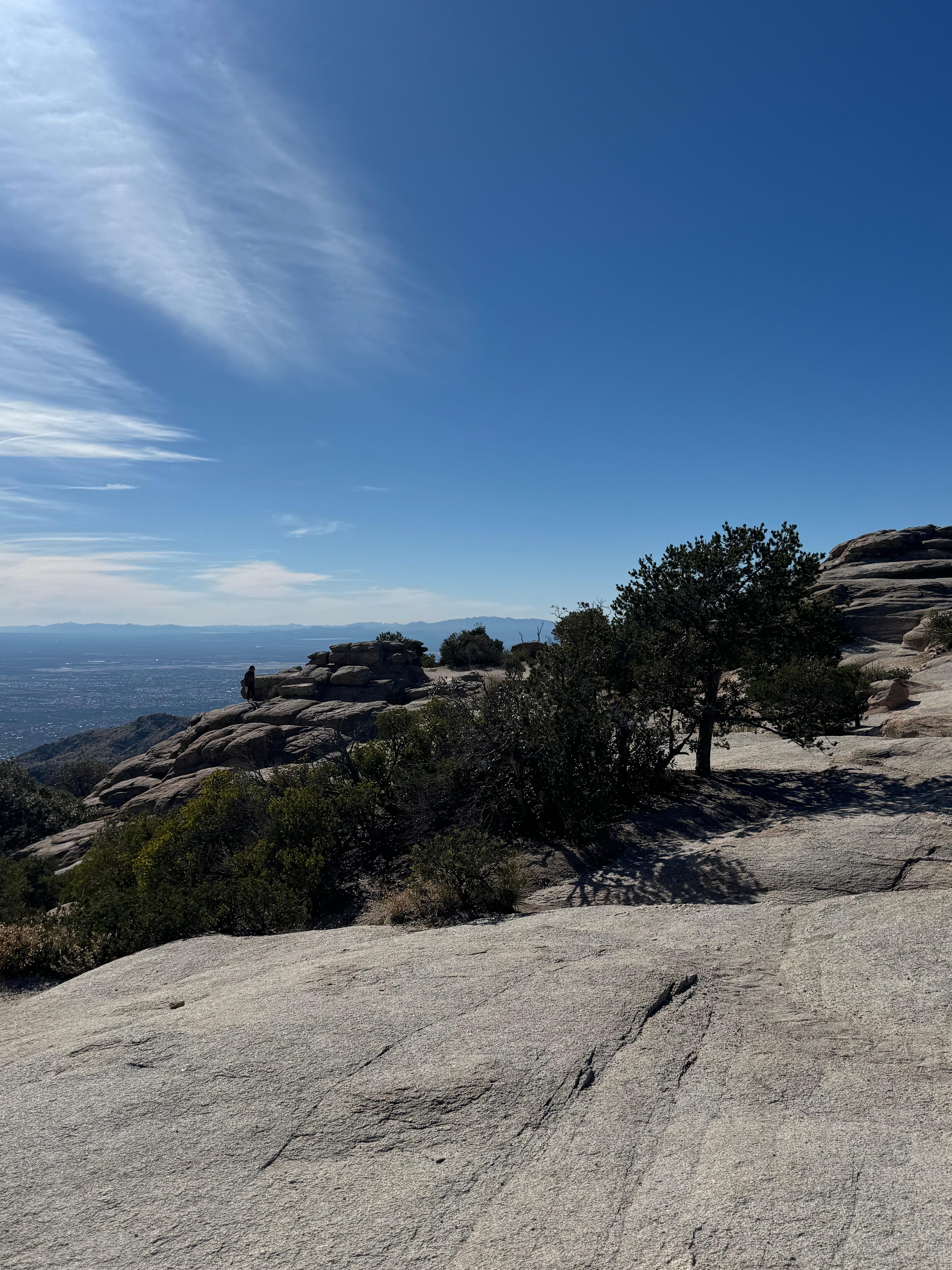 On the way to Mt Lemmon