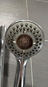 蓮蓬頭1號