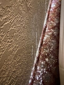 Powder for extermination.