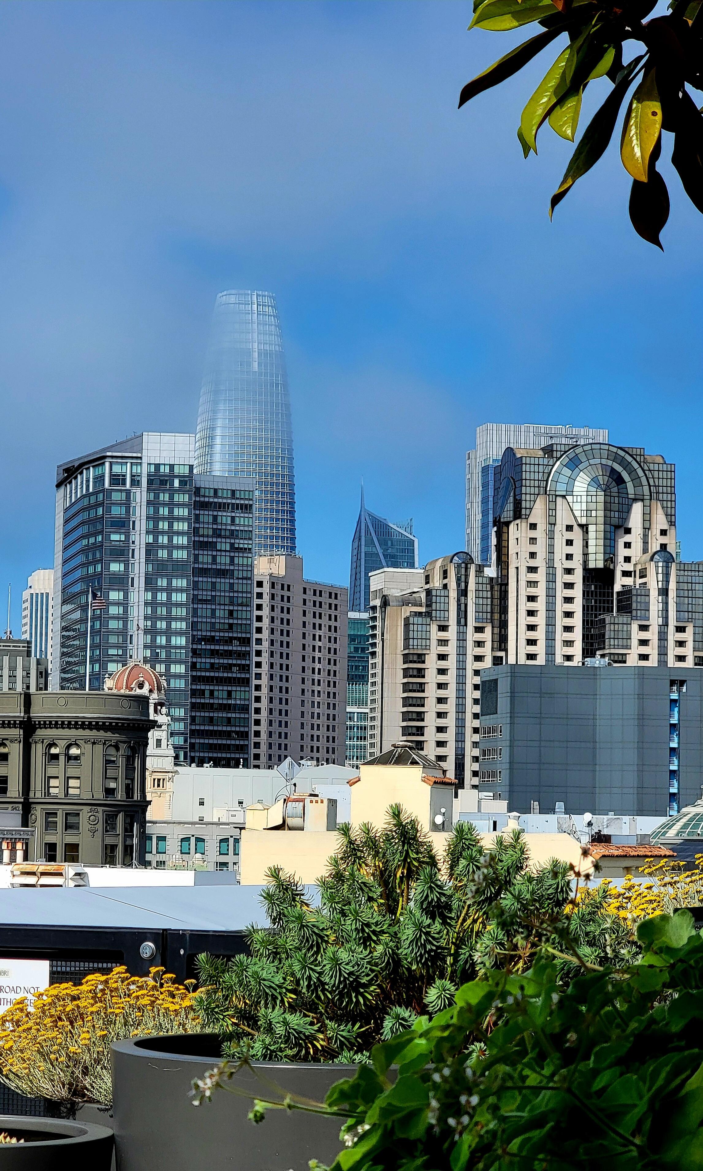 City scape from Rise over Run
