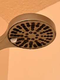 Black mold on shower head