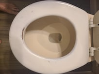 Worn paint on wooden toilet seat.