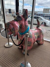 Tunnocks dog