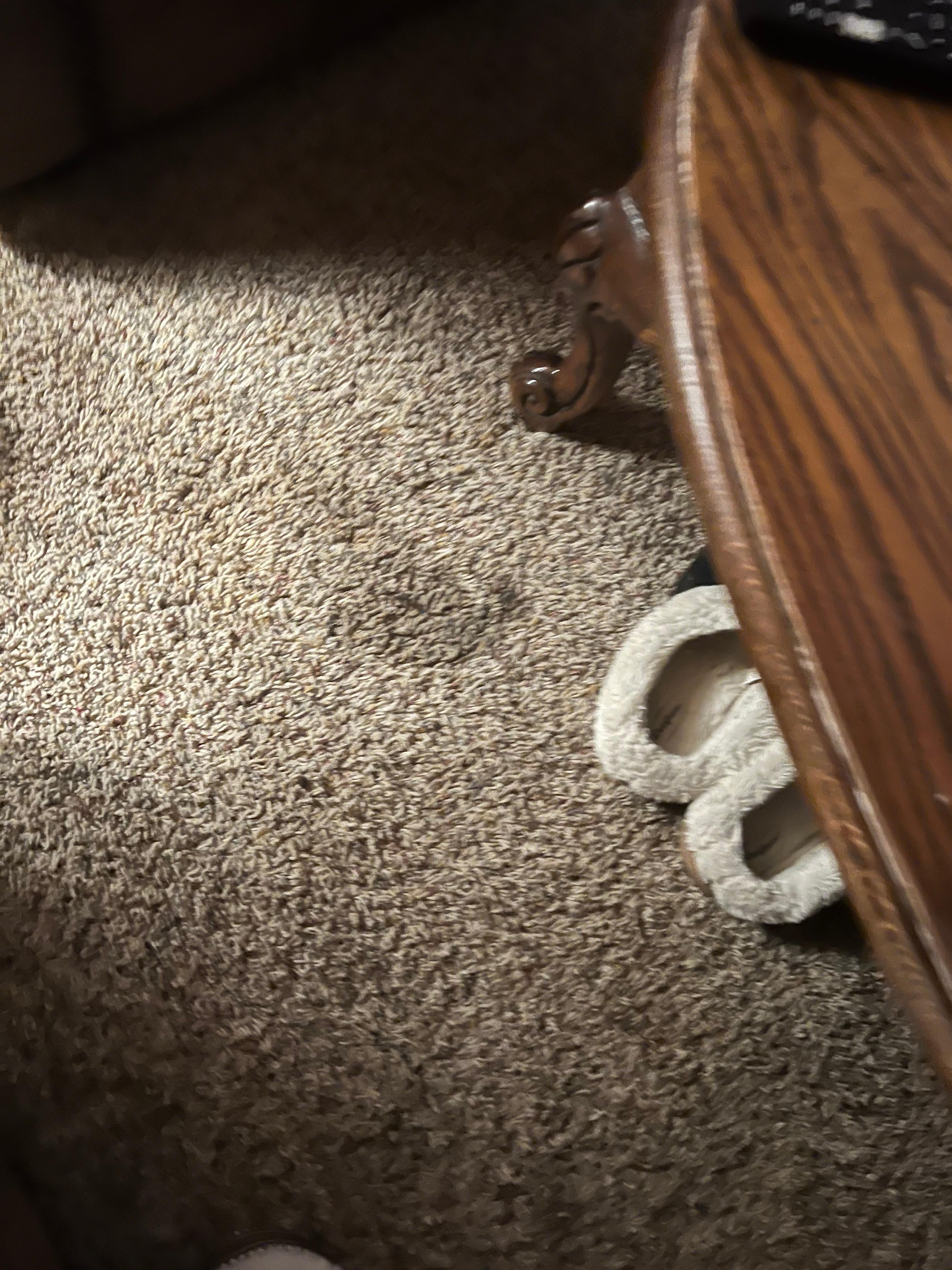 Carpet needs to be replaced. 